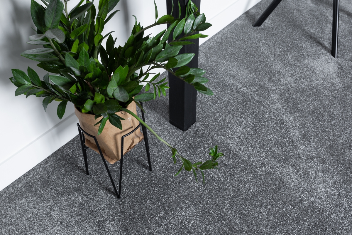 av-vwelie-referenties-2019-1960966bb0bd534